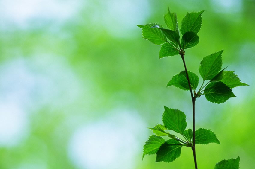 Richtig Kritik üben als Führungskraft