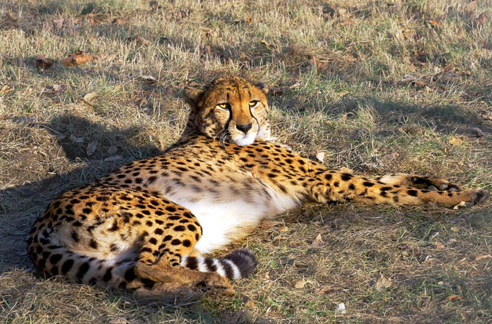 Als Führungskraft leistungsfähig bleiben