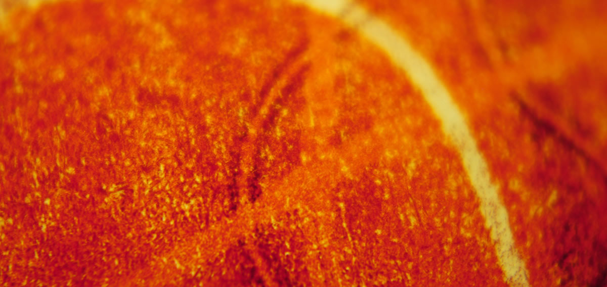 Voraussetzungen für erfolgreiches Coaching