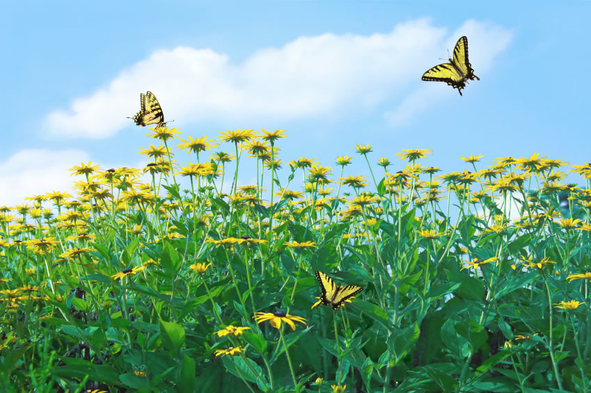 Als Unternehmer Urlaub machen