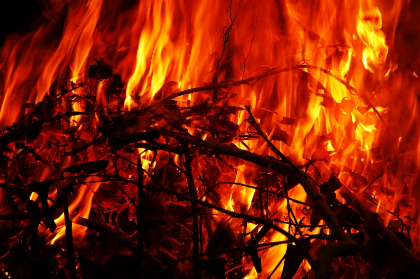 Professionelles Coaching