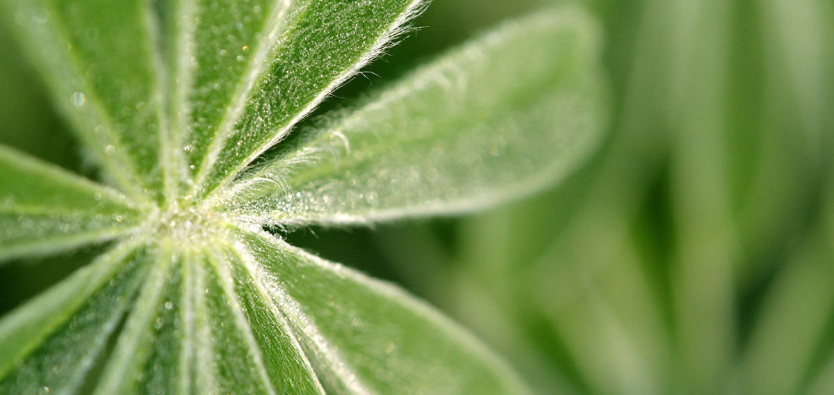 Als Top-Manager unzufrieden