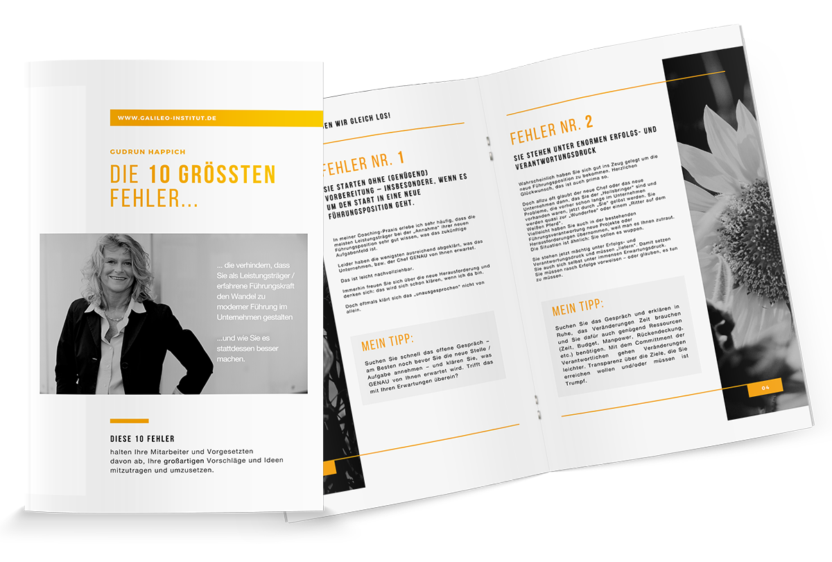 Die 10 größten Fehler - E-Book