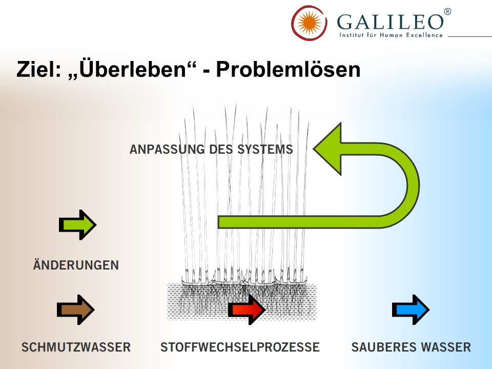 vernetztes Denken - Umgang mit schwierigen Situationen