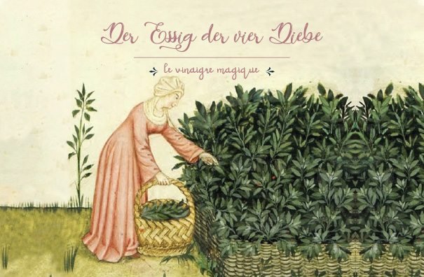 Die Chance in der Krise: Der Essig der vier Diebe