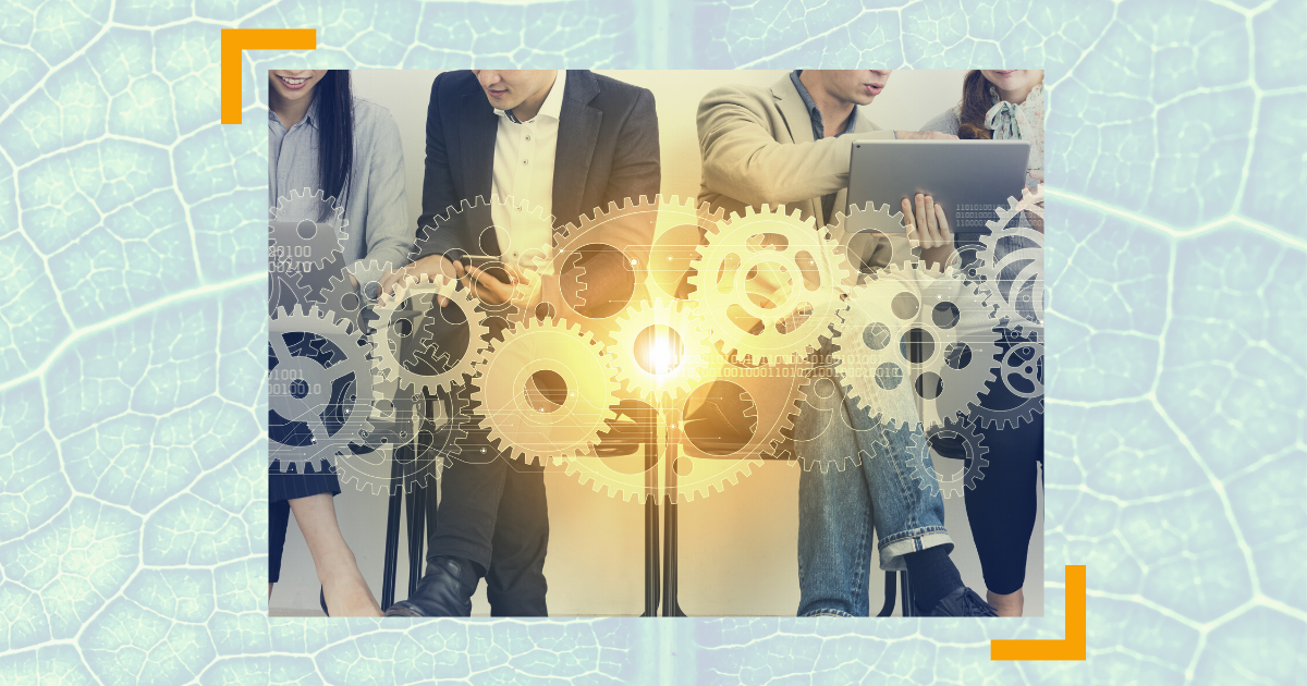 Meine Mitarbeiter denken nicht mit