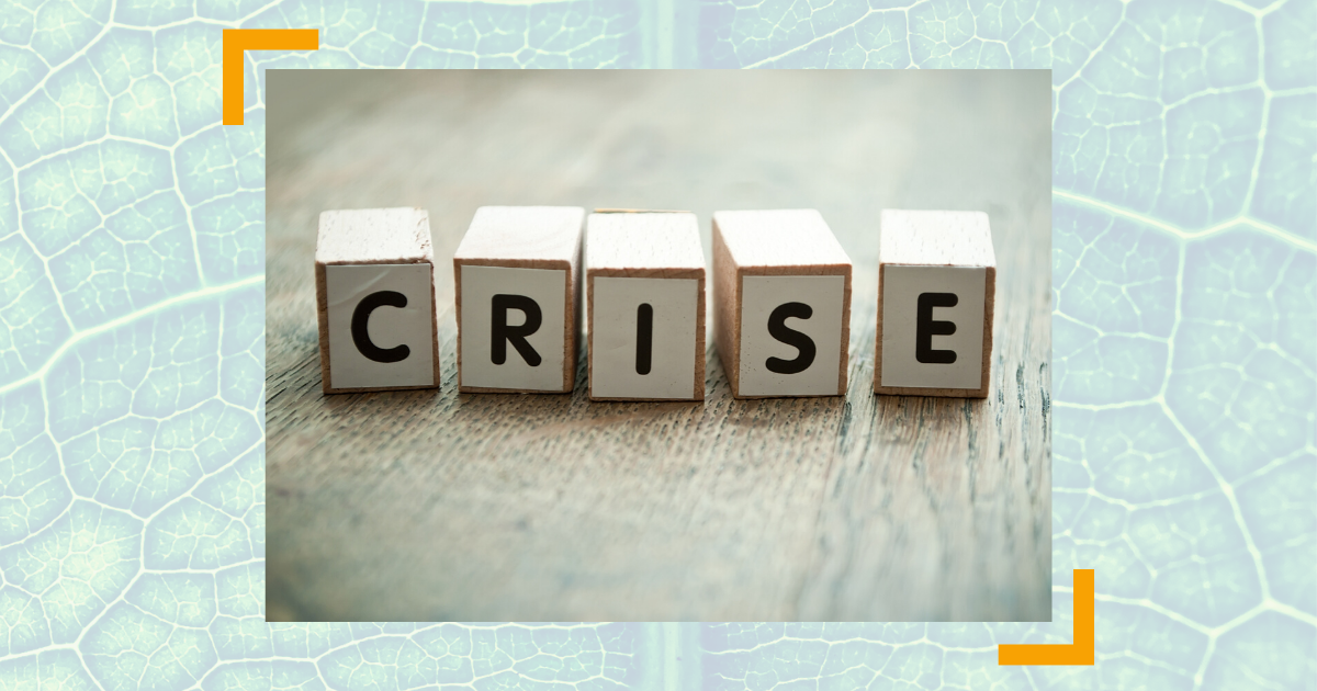 Krisenmanagement am Vorbild Natur