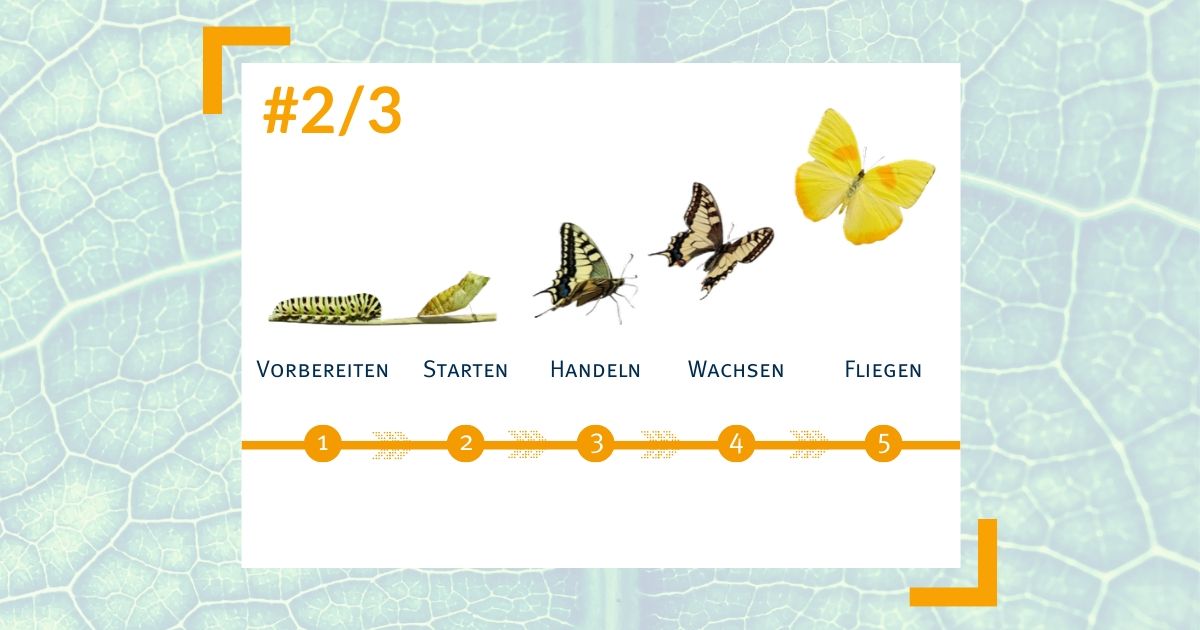 Leaders Lap - Online Gruppencoaching