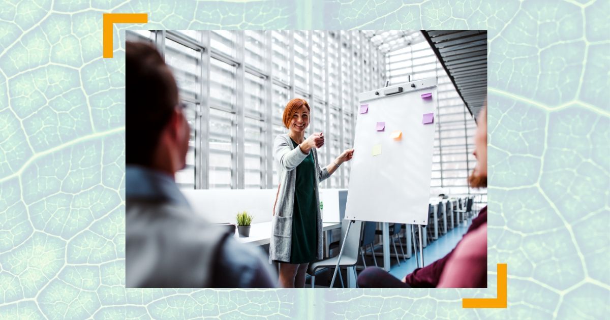 Wie Sie Ihren Chef führen