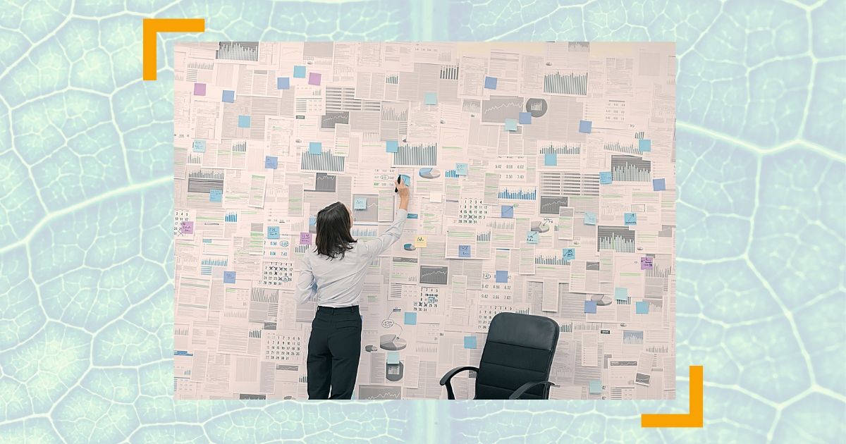 Die beste Rolle im Unternehmen finden