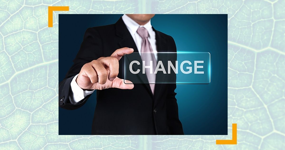 Neu als Geschäftsführer - Veränderungsprozesse