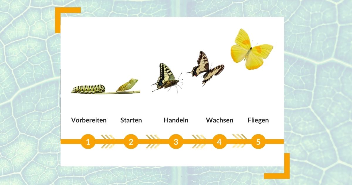 Leaders Lap - Online-Gruppencoaching