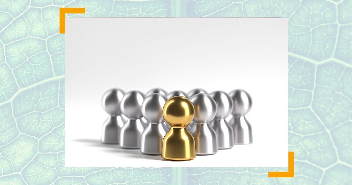 Cheffing - Führen von unten