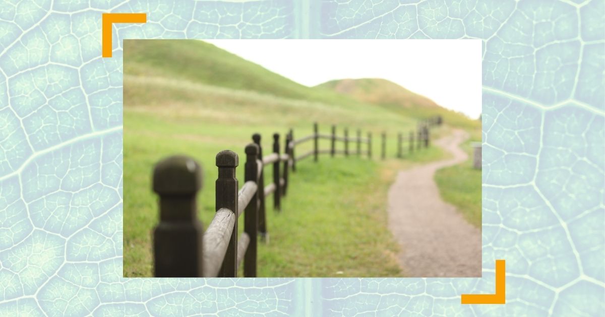 Respekt verdienen dank Grenzen setzen