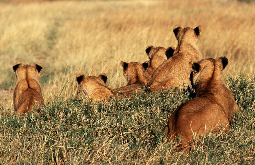 Erfolgreiche Unternehmensführung