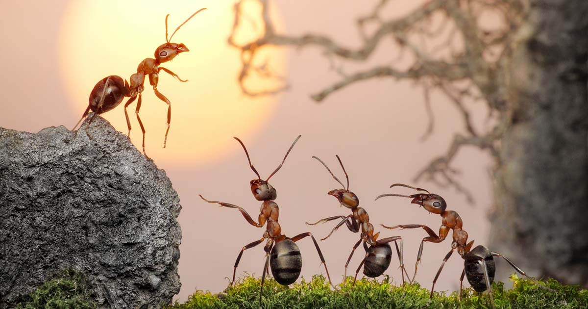 Unternehmensführung