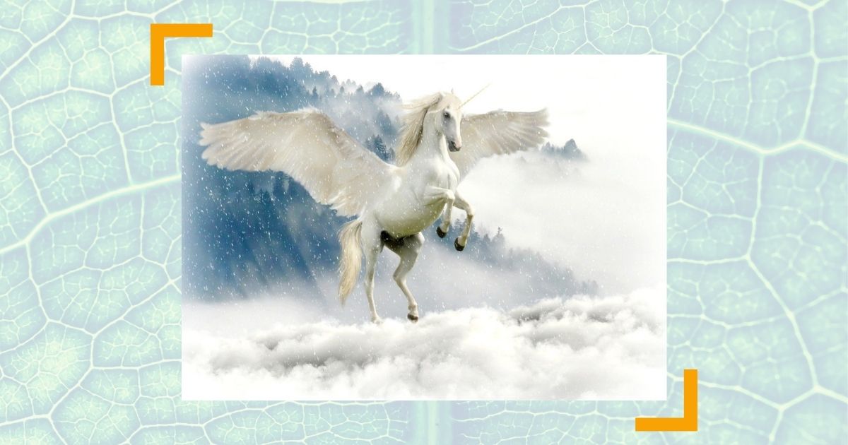 7 Mythen rund ums Top-Management