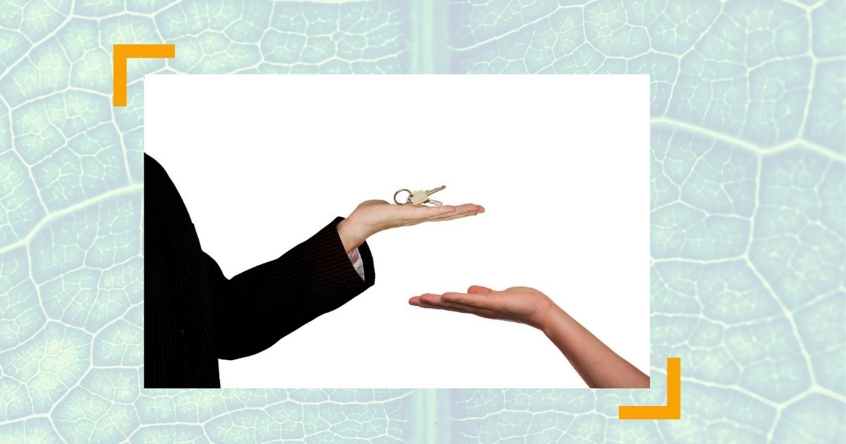 Nachfolger für die Führungsebene gesucht