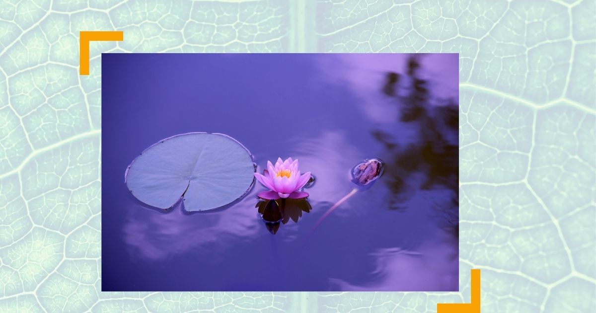 Selbstmanagement statt Hyperaktivität