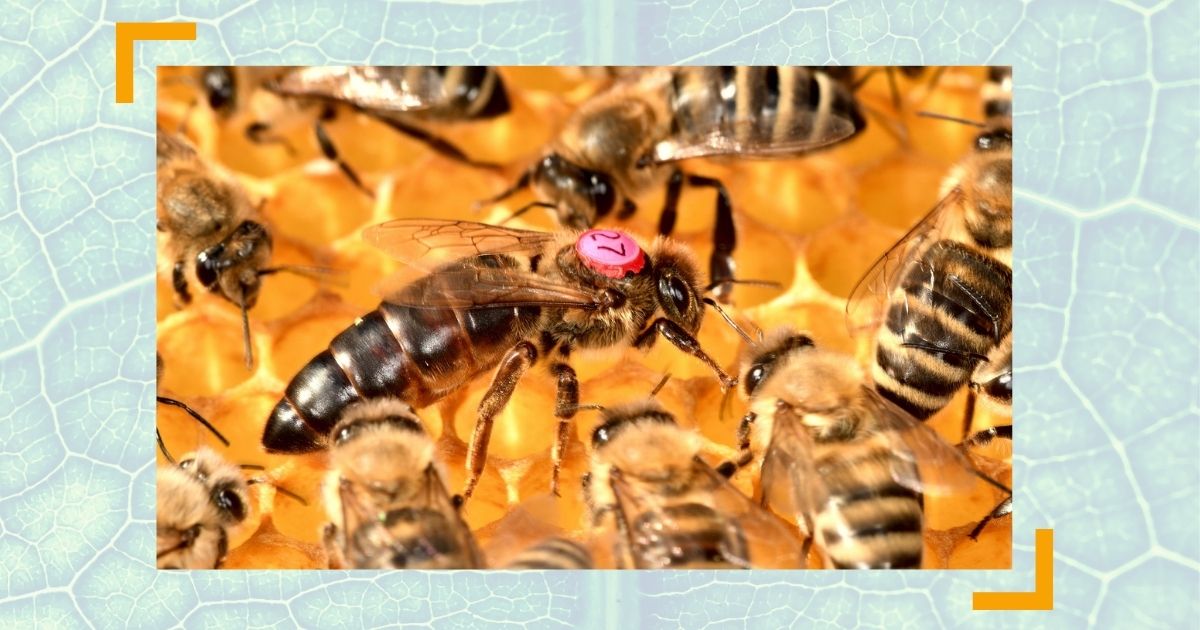 Wandel managen - Erfolgsunternehmen Natur