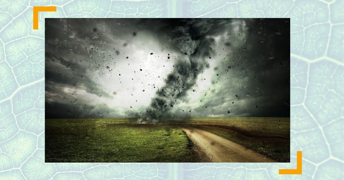 Moderne Unternehmensführung