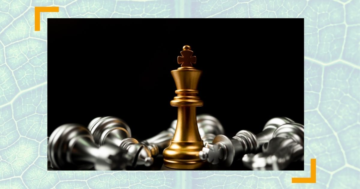 Machtspiele - geheime Strategien für C-Level