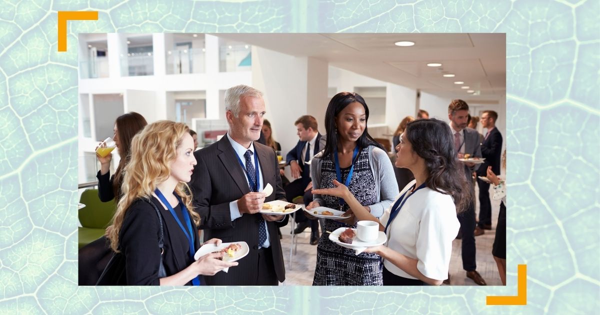 Netzwerken für Profis