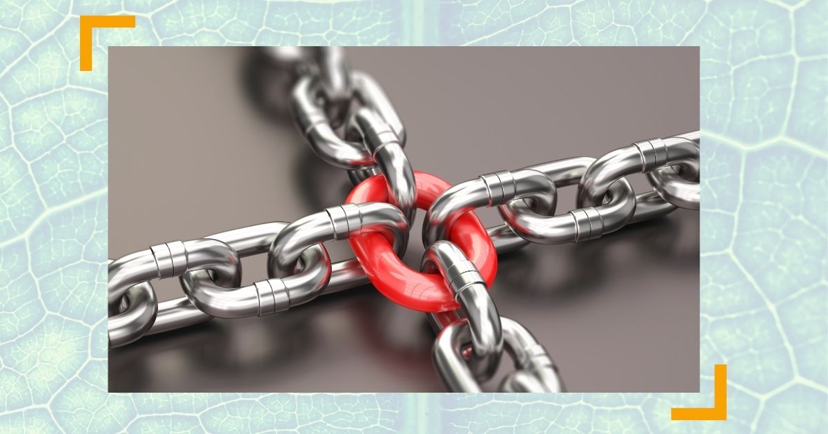 Als C-Level Talente binden