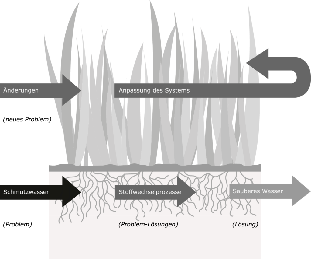 Wurzelraumanlage - komplexe Aufgaben lösen