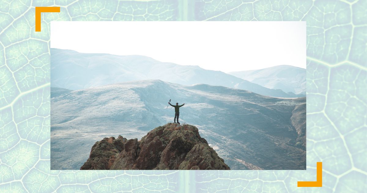 Vom Manager zum Vorstand