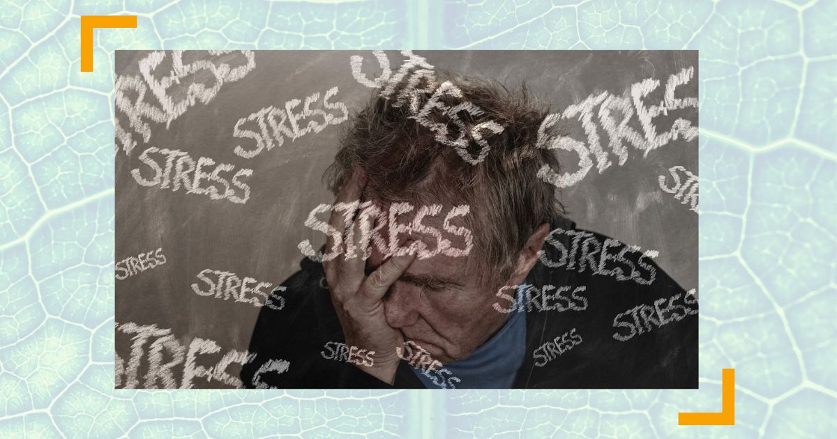 So setzen Sie Überforderung am Arbeitsplatz nachhaltig ein Ende