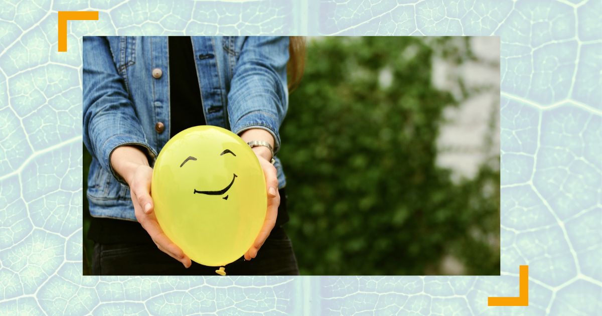 Erfolgreich an der Spitze