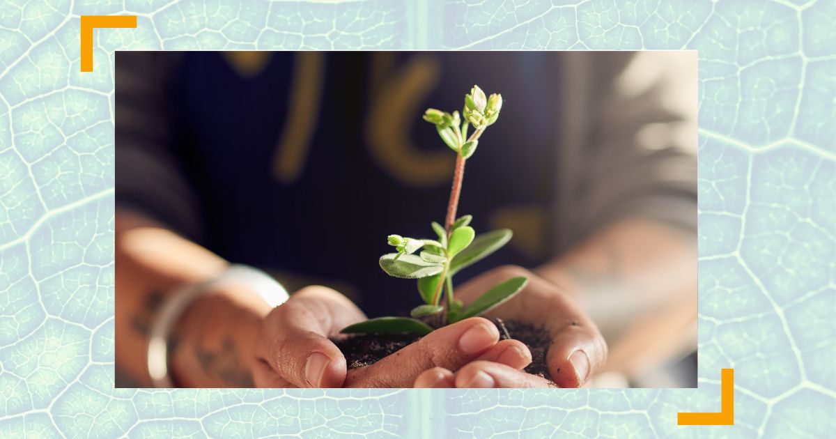 7 Führungsprinzipien, die agile Führung leichter machen