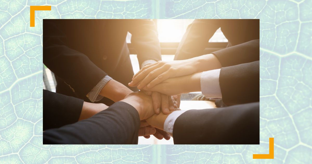 Als Führungskraft vertrauen aufbauen