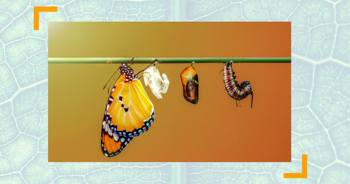 Transformation: Wollen Sie Funktionierer oder Gestalter sein?