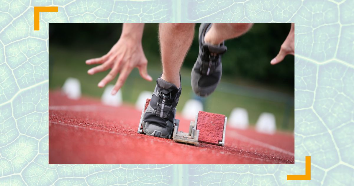 Kündigung in der Probezeit